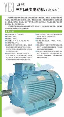 YE3系列三相异步电机（高效）