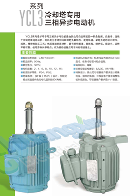 YCL3冷却塔专用三相异步电机